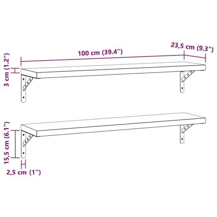 VidaXL Étagères murales 2 pcs 100x23,5 cm noir acier inoxydable, étagère flottante, étagère murale d'exposition, panneau 3214513