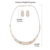 Rose Gold Cubic Zirconia Party Bling Necklace & Earring Set For Women