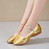 silver Women's Latin Dance Shoes, Jazz Ballroom Salsa Dancing Shoes Teacher Training Modern Tango Dance Sneakers Female Rubber