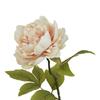 Hill Interiors The Natural Garden Collection Peony Artificial Flower