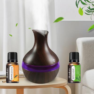 2 In 1 Aromatherapy Humidifier Essential Oil Diffuser 300ml USB-Powered Ultra Quiet for Home Office (Includes 2 Oils)