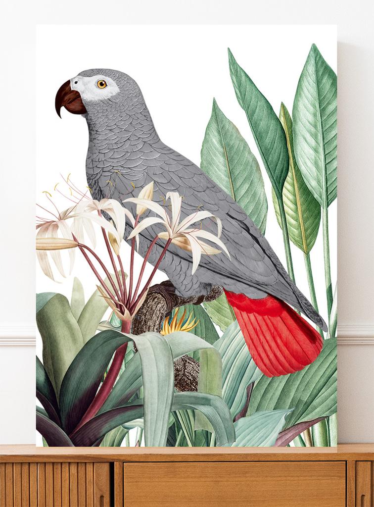 Poster Grey Parrot Plants