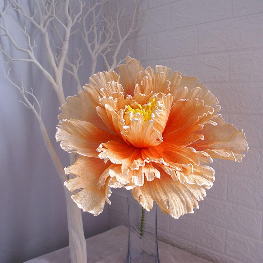 Peony Flower Flower Head Diameter Space Green Stem Website