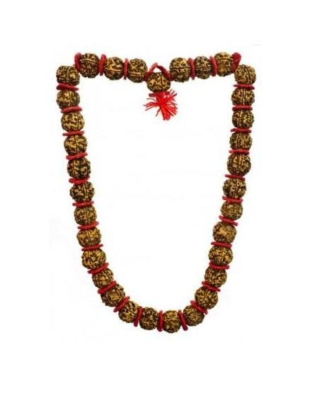 Чётки из Рудракши (6 мукхи), Rudraksha Mala Nepal, Kalyan Puja