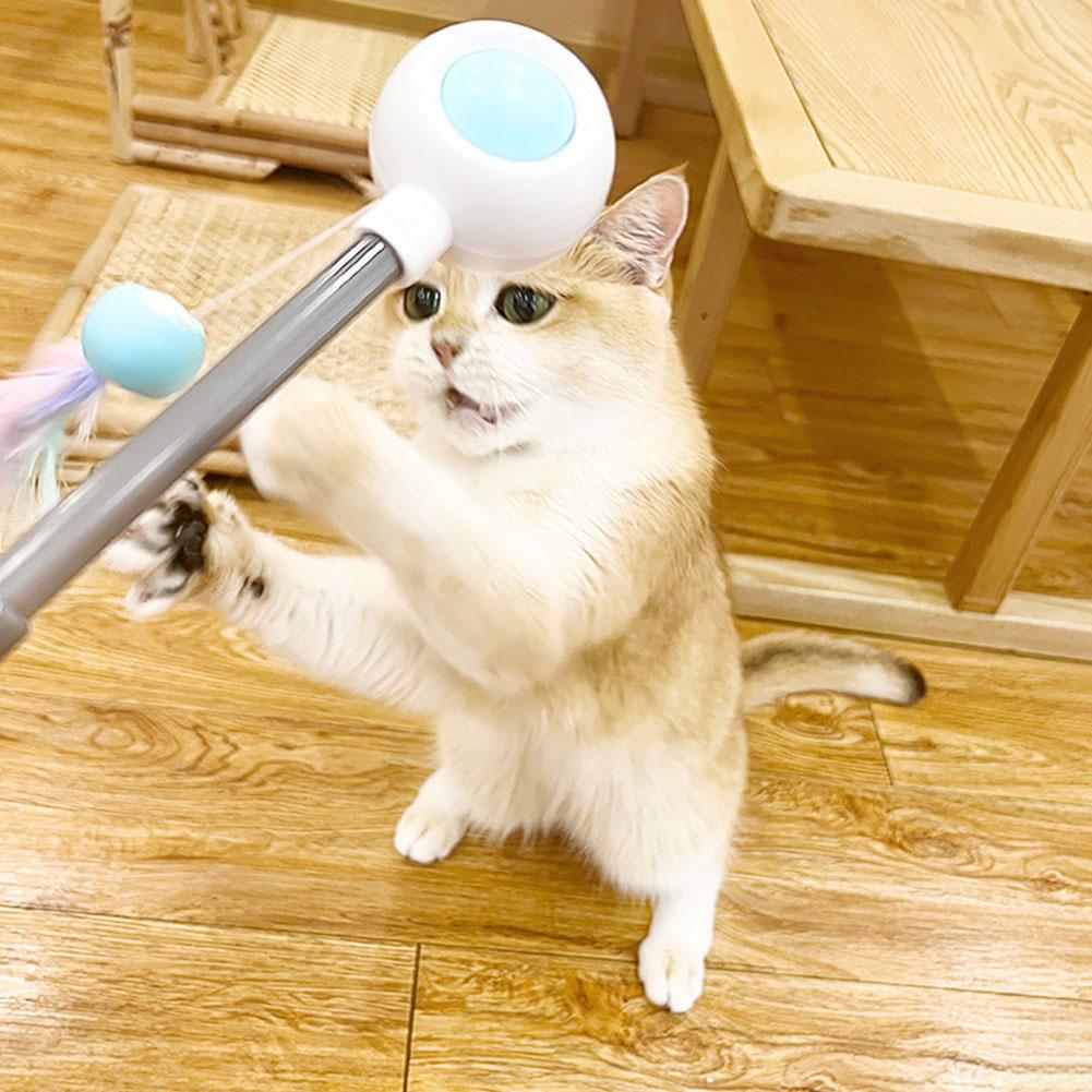 Cat Toy Interactive Funny Tassel Feather Stick Pet Toys For Kitten Colored Stretchable Cat Playing Teaser Wand Toy Self Play