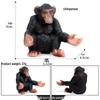 Realistic Animal Heart Model Toy: Lemur, Raccoon, Orangutan, Baboon