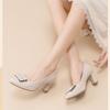 Coarse Order Shoes for Women Versatile In Spring and Autumn Pointed Toe Mid Heeled Work Shoes