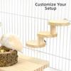 Bite Resistant Hamster Wooden Ladder Wall Mounted Hamster Climbing Toy  Enrichment Activity