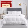 Qilu Hotel Feather Silk Duvet