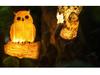 LED Resin Simulated Turtle, Raccoon, Toucan, and Parrot Outdoor Landscape Animal Lights