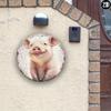 Metal Tin Pig Round Sign Farmhouse Wall Art Home Decor Bar Patio Porch