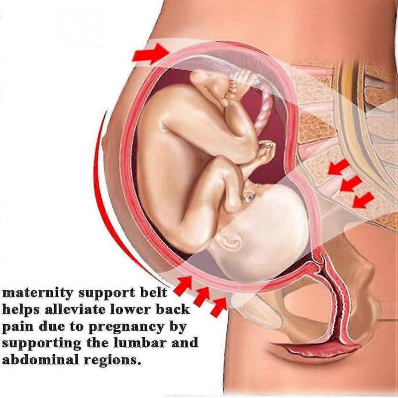 Maternity Support Belt Rtdep Pregnancy Belt Support Brace Pregnancy Abdominal Binder