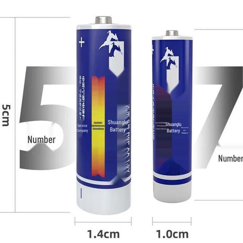 Shuanglu Blue Knight R6P AA 1.5V Carbon-Zinc Batteries (12-Pack) CN plug (adapter included)