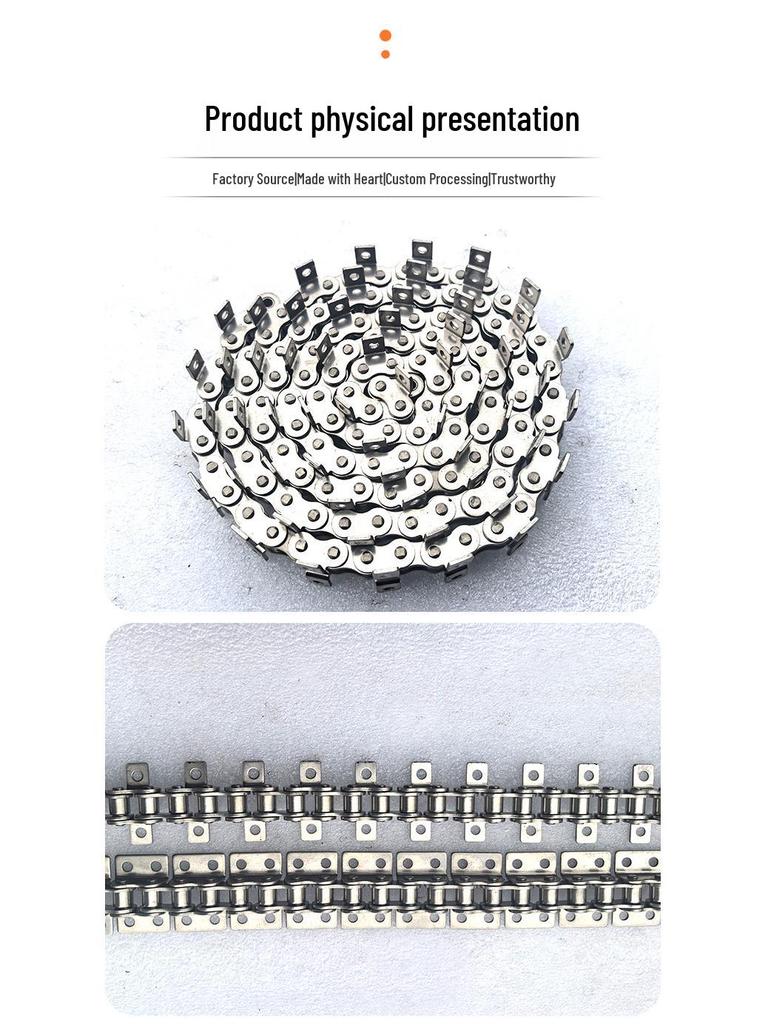 Stainless Steel Precision Roller and Conveyor Chain with Ear and Double-Sided Curved Plate.