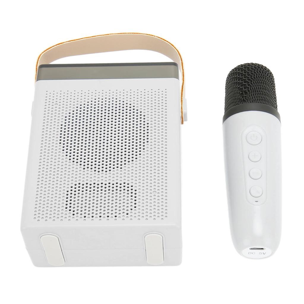 Karaoke Machine Set with RGB Light Rechargeable Bluetooth Speaker with 1 Wireless Microphone for Home Party KTV White