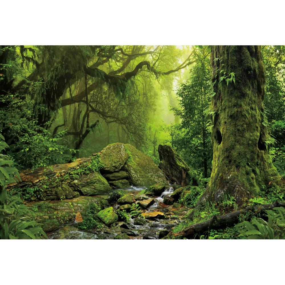 Spring Forest Backdrop Tropical Jungle Rainforest Backdrops for Photography Camping Adventure Birthday Background Photo Studio
