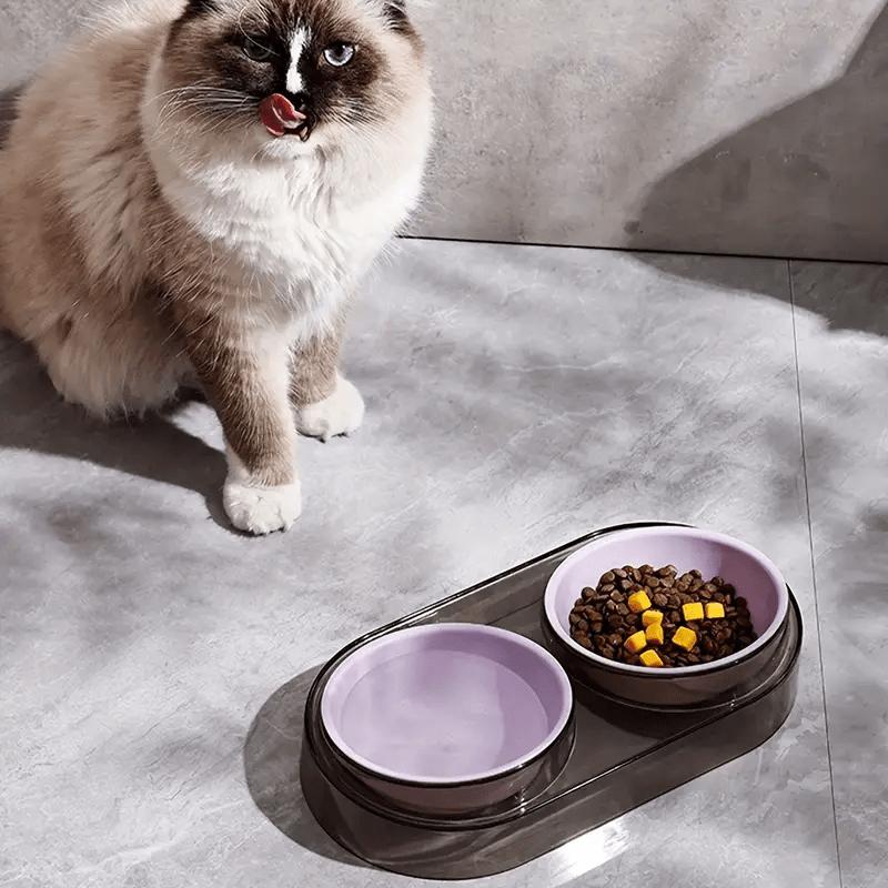 1pcs Elevated Dual Bowl Feeder for Cats & Small Dogs- Durable Plastic Raised Pet Feeding Station with Non-Slip Stand,Easy Feed
