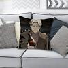 JJohan LLiebert Monster Anime Celebrity Merchandise AllMatch Printed Pillow Case Sofa Car Office Room Decoration Protector