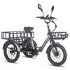 FAFREES F20 Mate L2E-P Certified Folding Electric Cargo Tricycle,48V 500W motor,3 riding modes,maximum load capacity of 180kg.