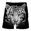 Men's Cute Dog 3D Printing Summer New Casual Vacation Beach Fun Animal Pattern Sports Shorts