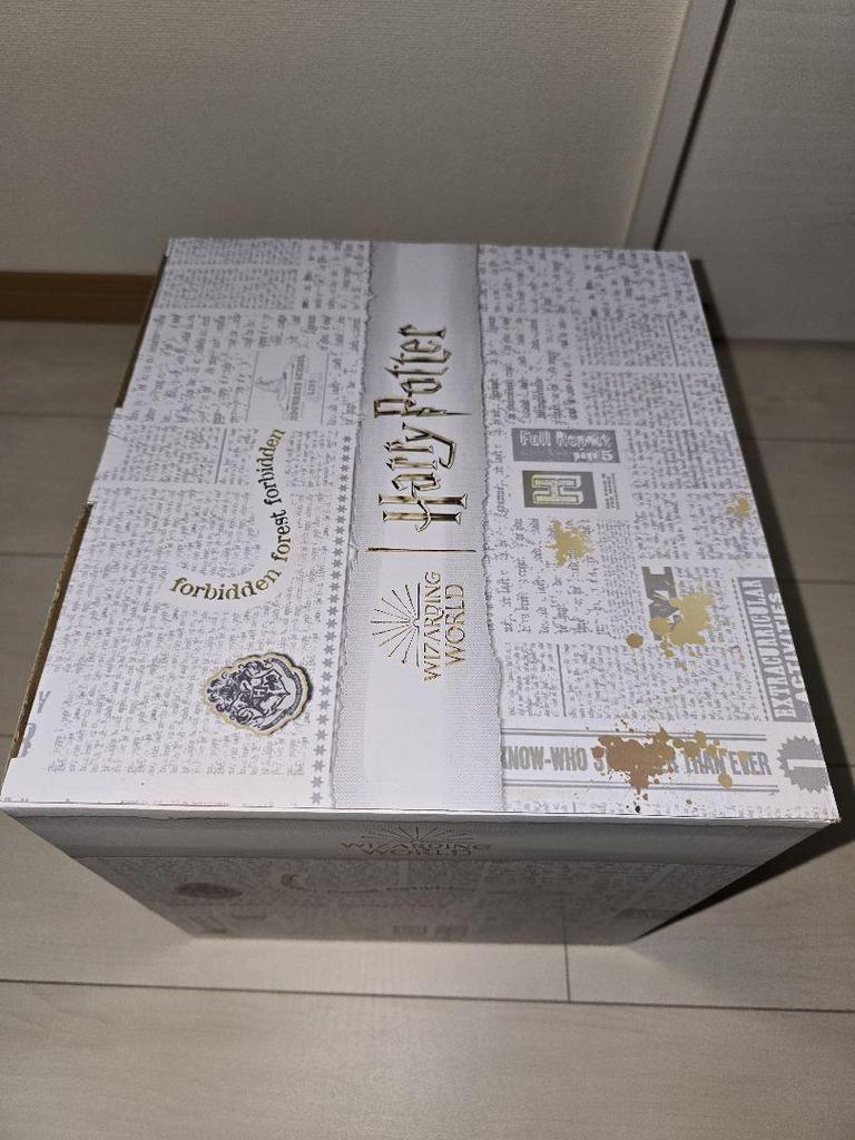 [USED] Special Price Voldemort Figure