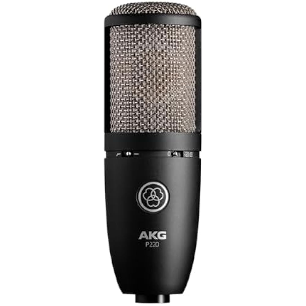 AKG (Arker Game) P220 Project Studio Line [Ideal for Vocal/piano/wind Instrument Recording, Durab...