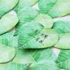Gift Original Fresh Office School Supplies Leaves Collection Simulated Leaf Notes N Times Message Memo Pad Kawai Stationery