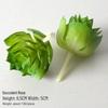 Mini Flocking Artificial Succulent Bonsai for DIY Wall Decor