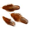 50Pcs 4-8cm Rare Precious DIY Wedding Party Decorative Multi-colour Pheasant Plume Feather Natural Feathers for Home Decoration