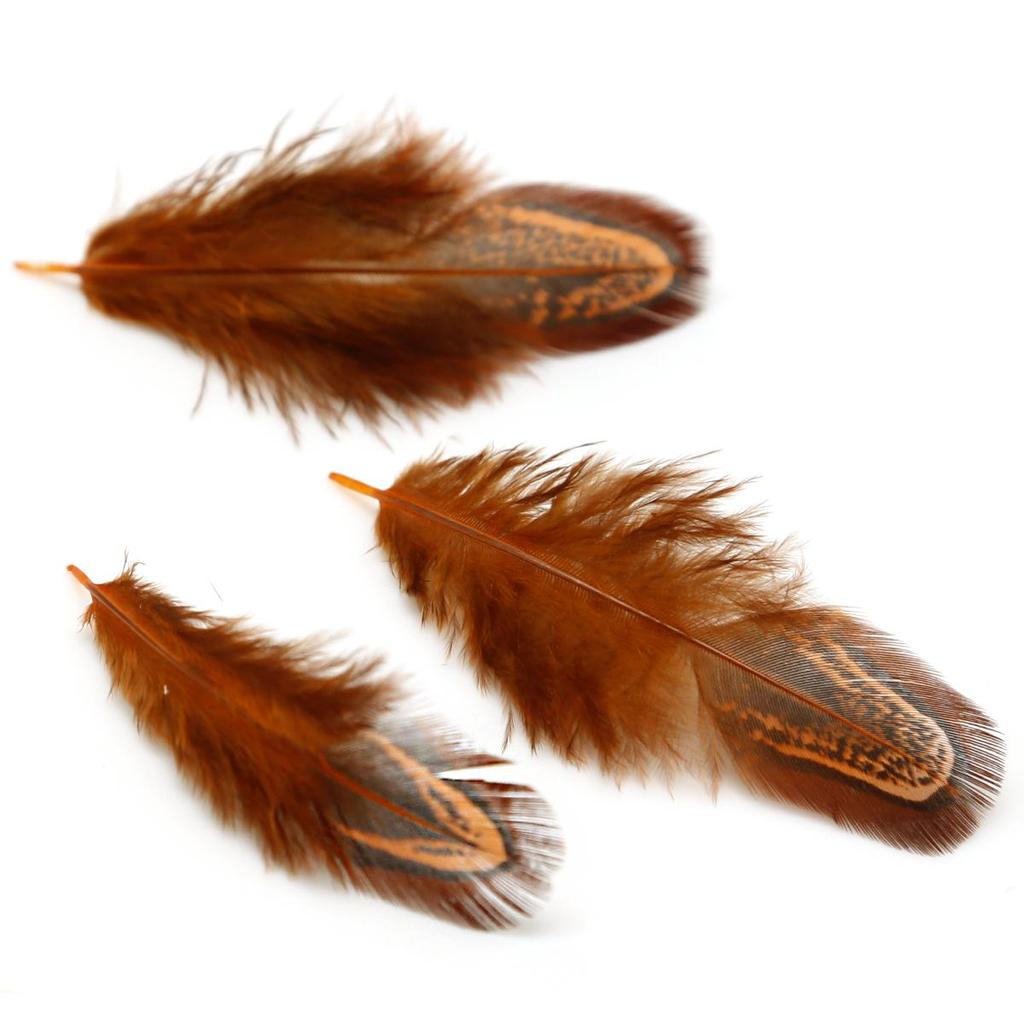 50Pcs 4-8cm Rare Precious DIY Wedding Party Decorative Multi-colour Pheasant Plume Feather Natural Feathers for Home Decoration