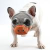 Mesh Structure Dog Muzzle Multi Sizes Bulldog Muzzle Breathable Muzzle  Daily Training