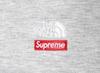 NY52400I/NF0A88FPDY Supreme The North Face Down Filled Zip Up Hooded Sweatshirt