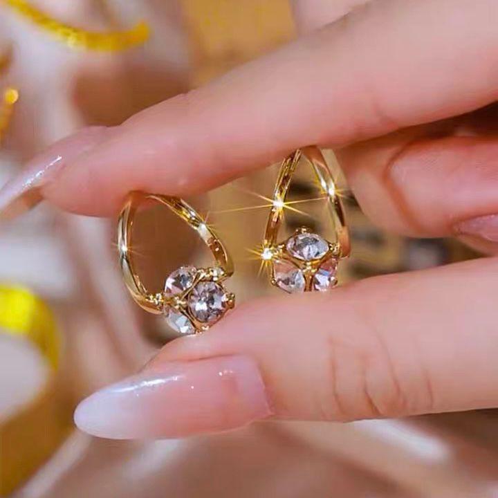 

New trendy niche design high-end earrings women s versatile small exquisite zircon earrings