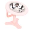 Elevated Cat Bowls with   Stand 15 Tilted Stainless Steel Anti Slip Feeder for Indoor Pets