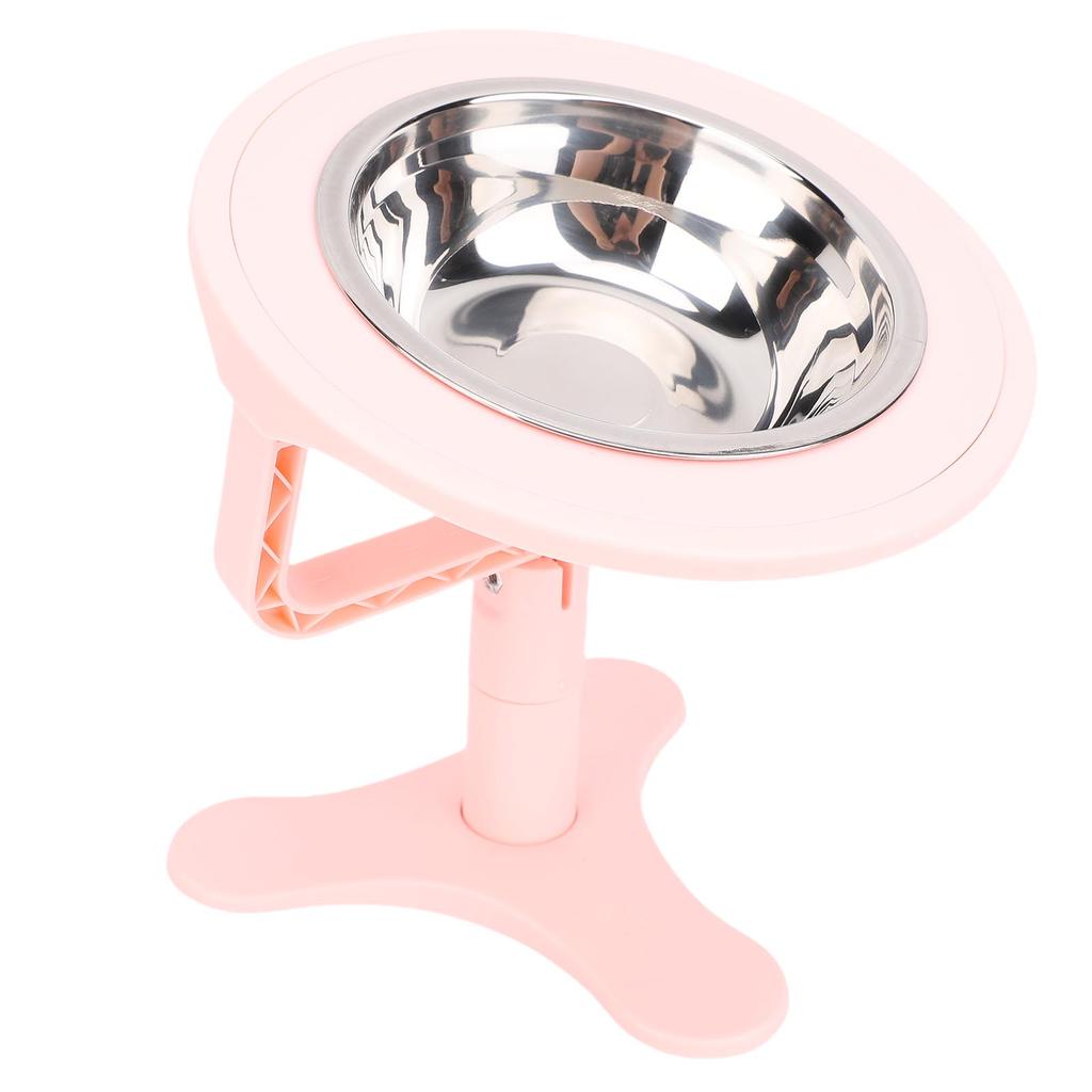 Elevated Cat Bowls with Stand 15 Tilted Stainless Steel Anti Slip Feeder for Indoor Pets
