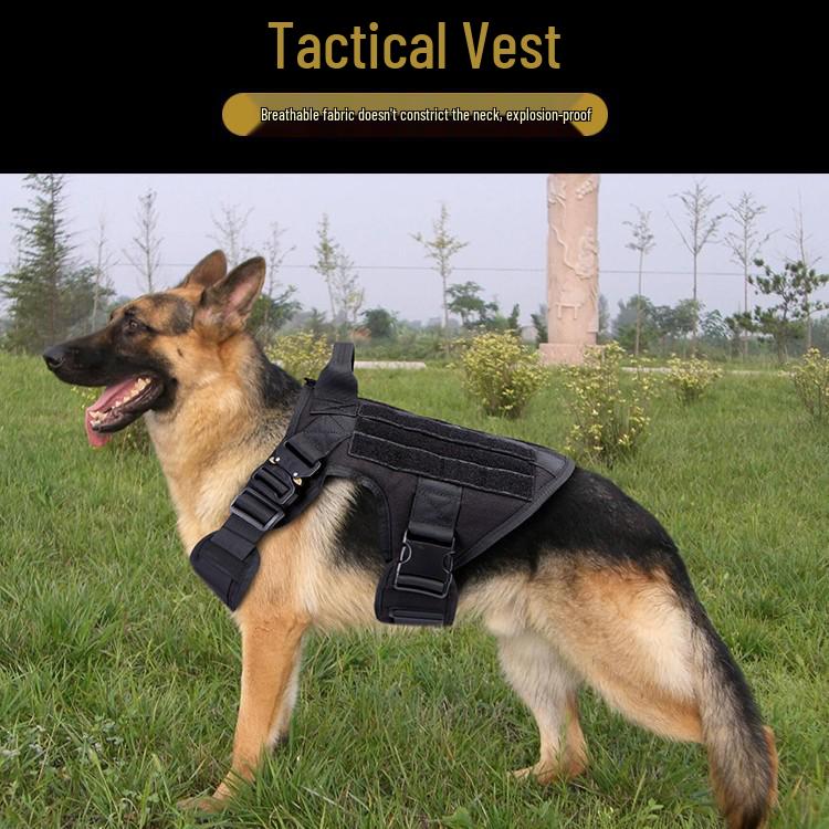 Verstellbare taktische Hundeweste für grenzüberschreitendes Training