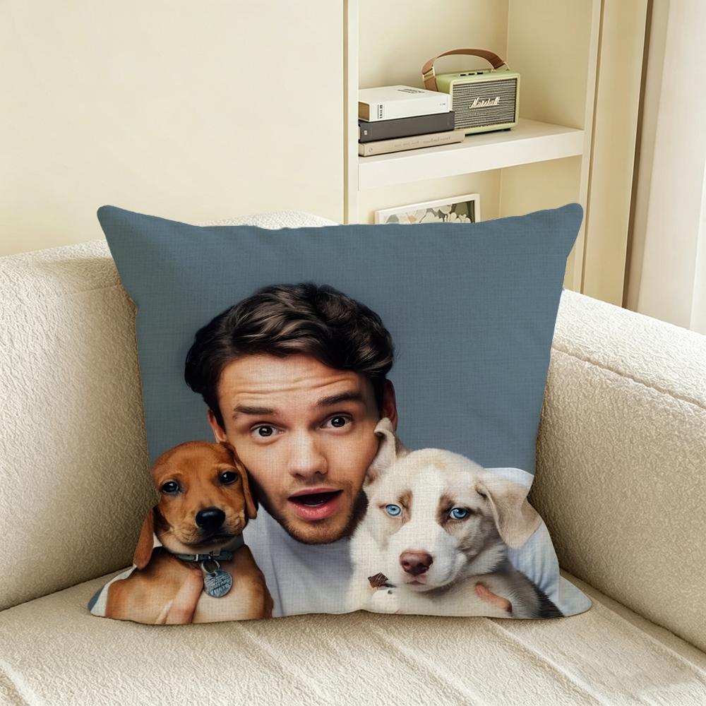 L-Liam Payne Cushion Cover Natural Linen Pillowcase Set, All-In-One Decor For Sofa, Bedroom & Chair