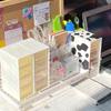 Desktop Storage Box: Student, Jewelry, Cosmetics Organizer with Four Compartments