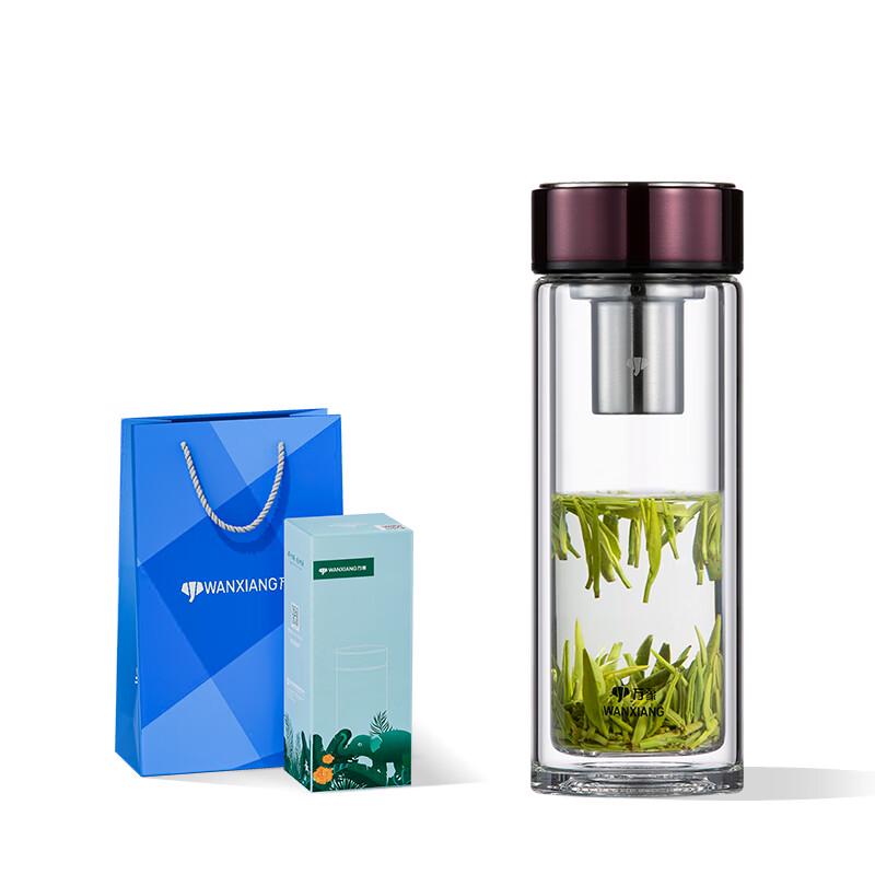 Wandian Double Wall Glass Tea Tumbler with Infuser