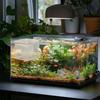 Breeding Box For Fry Aquarium Isolator Fish Breeding Net