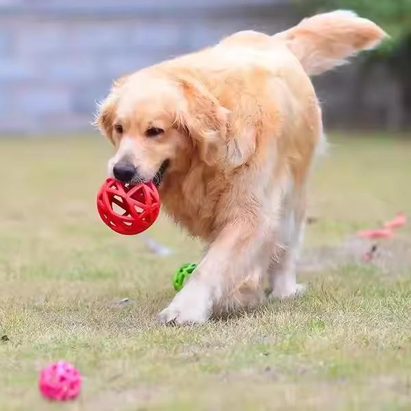 Factory r Pet Dog Training AccessoriesTPR Non-toxic Hole Ball  Interactive Chewing Toys  Natural Rubber Pet Ball Toys (Orange,7cm) оранжевый