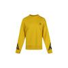 Logo Sports Running Hoodie Women Tops Sulfur-Yellow 596019-20