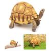 Simulation Turtle Model Realistic Tortoise Figurine Miniature Animal Educational Toy Home Office Desktop Decoration Ornament