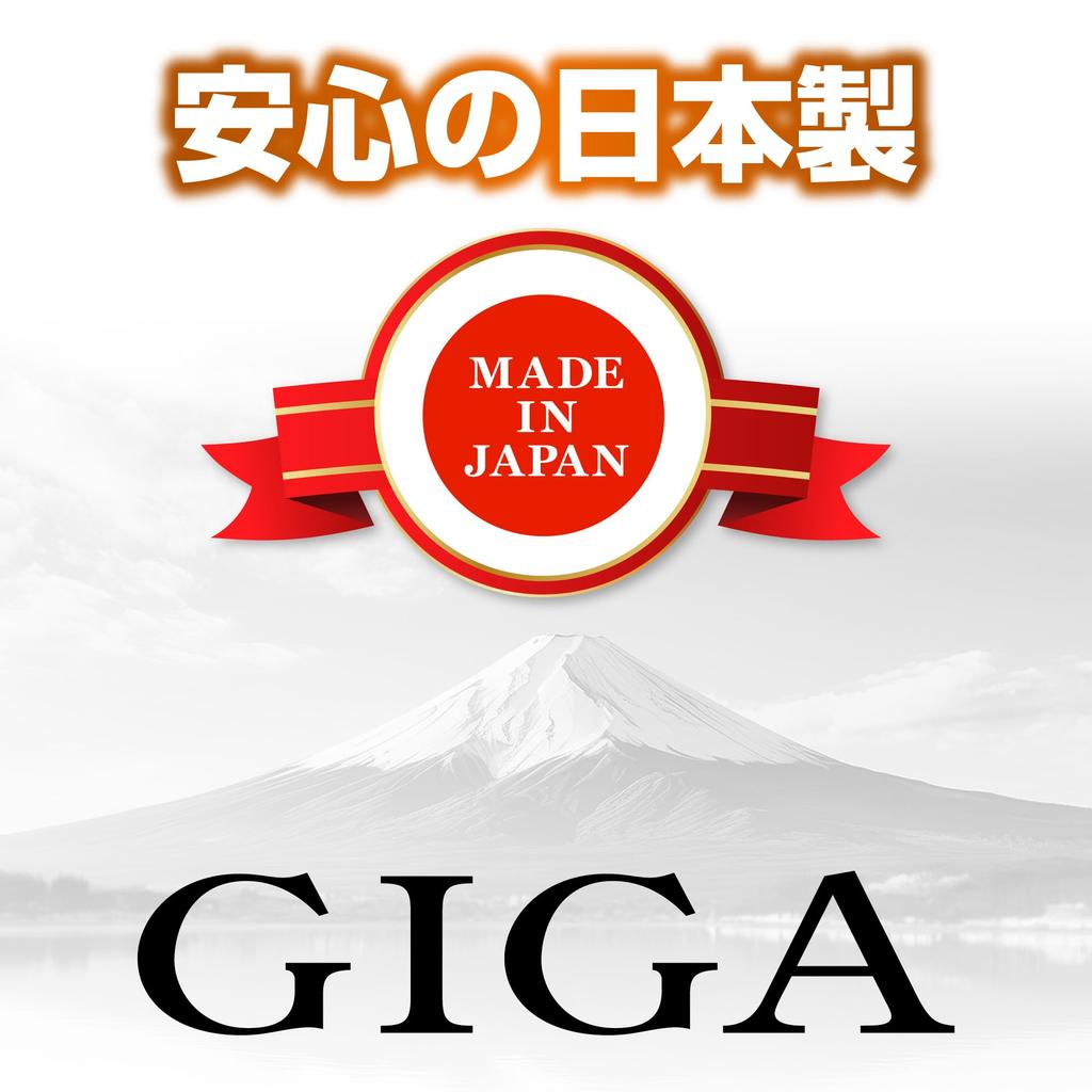 Carmate GIGA T10 LED Interior Lamp, 3000K, 100lm, Bright Warm White, Pack of 2, BW250