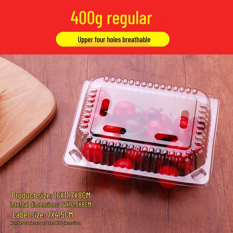 Shixun Disposable Transparent Fruit Containers with Lids (100-Pack)