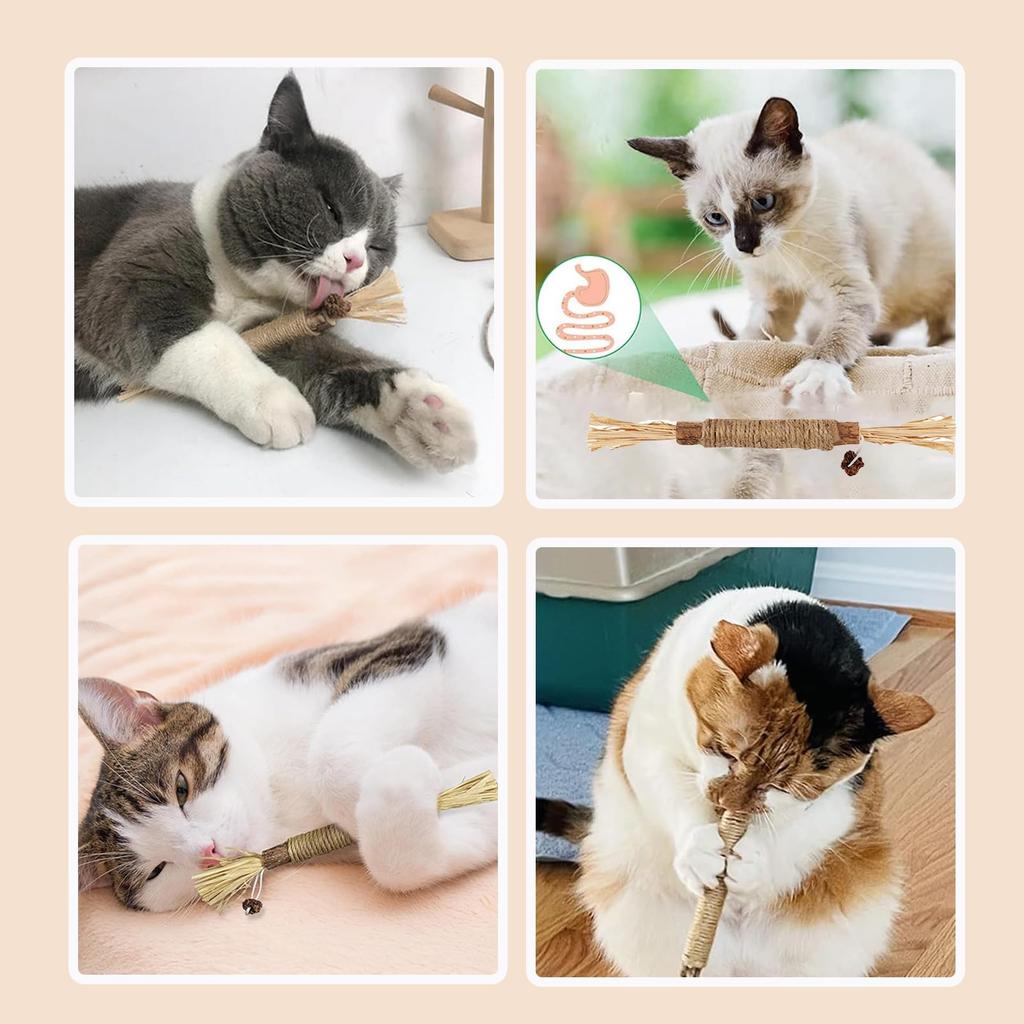 Cat Teeth Grinding Sticks, 6-Piece Set, Natural Wood Cat Chew Toys, Cat Toys, Catnip, Tartar Relief, Bad Breath Relief, Teeth Brushing Toy, Stress