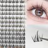 Denivyse - Individual Cluster False Eyelashes (Various Designs)