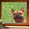 Cute French Bulldog Wall Sticker Waterproof Home Wall Decor Pet Decal Self Adhesive Removable