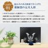 Osaka Choseido May Doll, Compact Mini Ceramic, Personalized Wooden Tag Included (Sent Separately), Black Helmet Ornament, Success Helmet