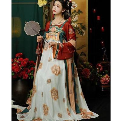Robe HE ZI de Style dynastie Tang chinoise, costume Hanfu pour femmes, costume quotidien brodé